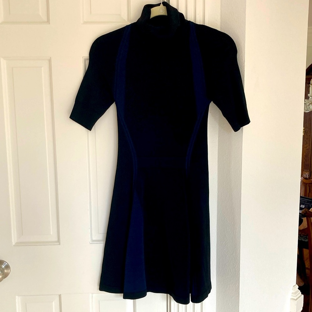 ALC Fit and Flare Dress